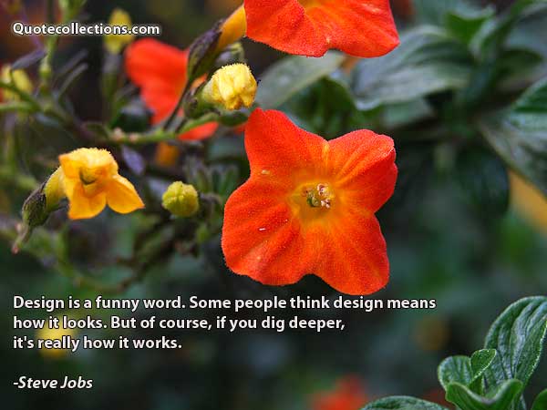 Steve Jobs Quotes3